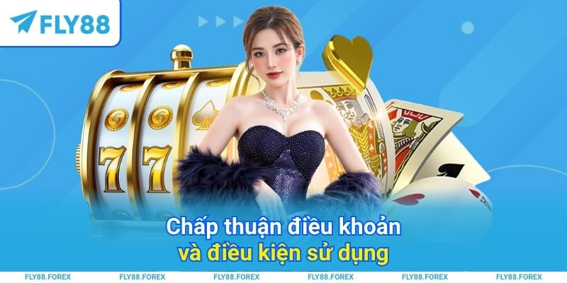 Chấp thuận điều khoản và điều kiện sử dụng